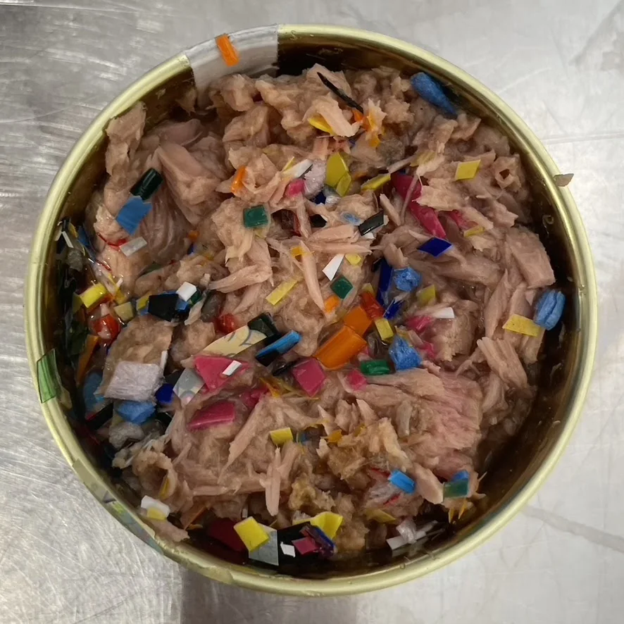 Détail d’une boîte de thon avec fragments plastiques