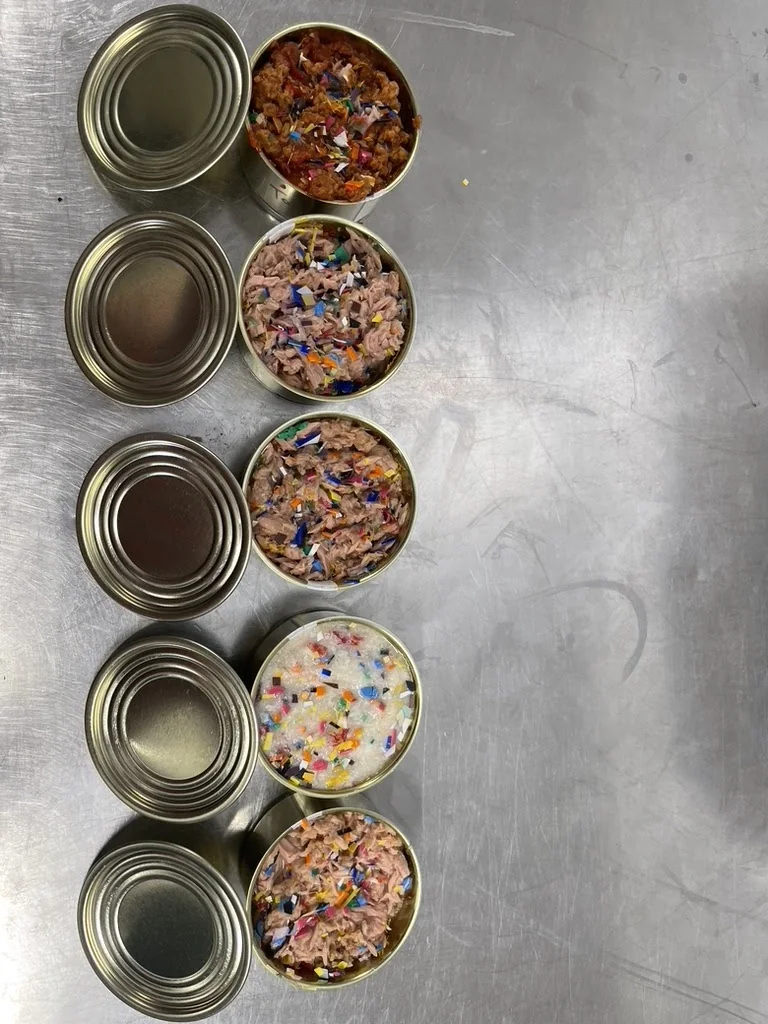 Poison en conserve, vue de plusieurs boîtes ouvertes vues du dessus